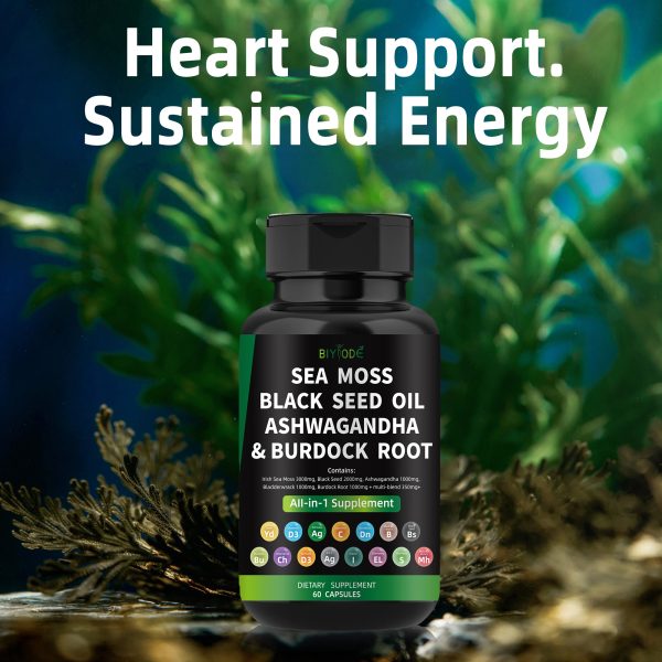 BIYODE Sea Moss Black Seed Oil Ashwagandha Ginger, Organic Sea Moss Capsules with Burdock Root, Irish Seamoss Pills with Bladderwrack, Turmeric, Shilajit, Multimineral Supplement, USA - Image 3