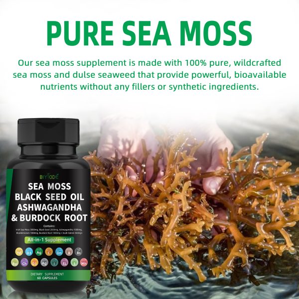 BIYODE Sea Moss Black Seed Oil Ashwagandha Ginger, Organic Sea Moss Capsules with Burdock Root, Irish Seamoss Pills with Bladderwrack, Turmeric, Shilajit, Multimineral Supplement, USA - Image 4